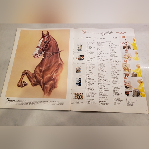 Horses Heads In Oils and Pastels by Don Schwartz - Picture 10 of 12